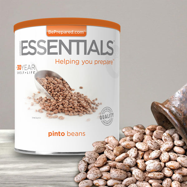 Pinto Beans Large #10 Can