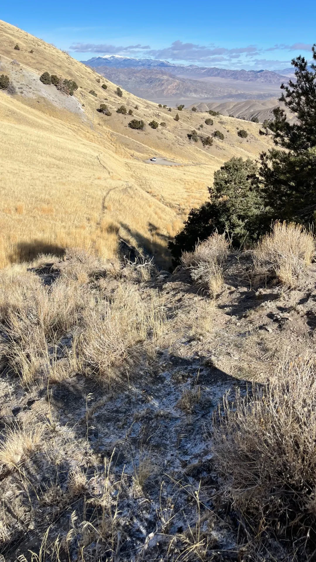 Looking down from the top of the scarp toward the parking area. The fault runs right through these hills.