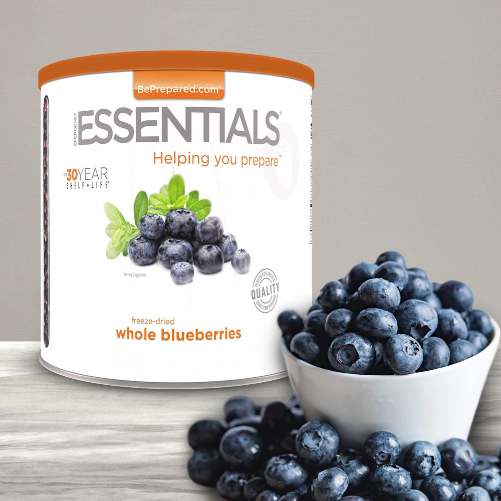 Freeze-Dried Whole Blueberries Large #10 Can